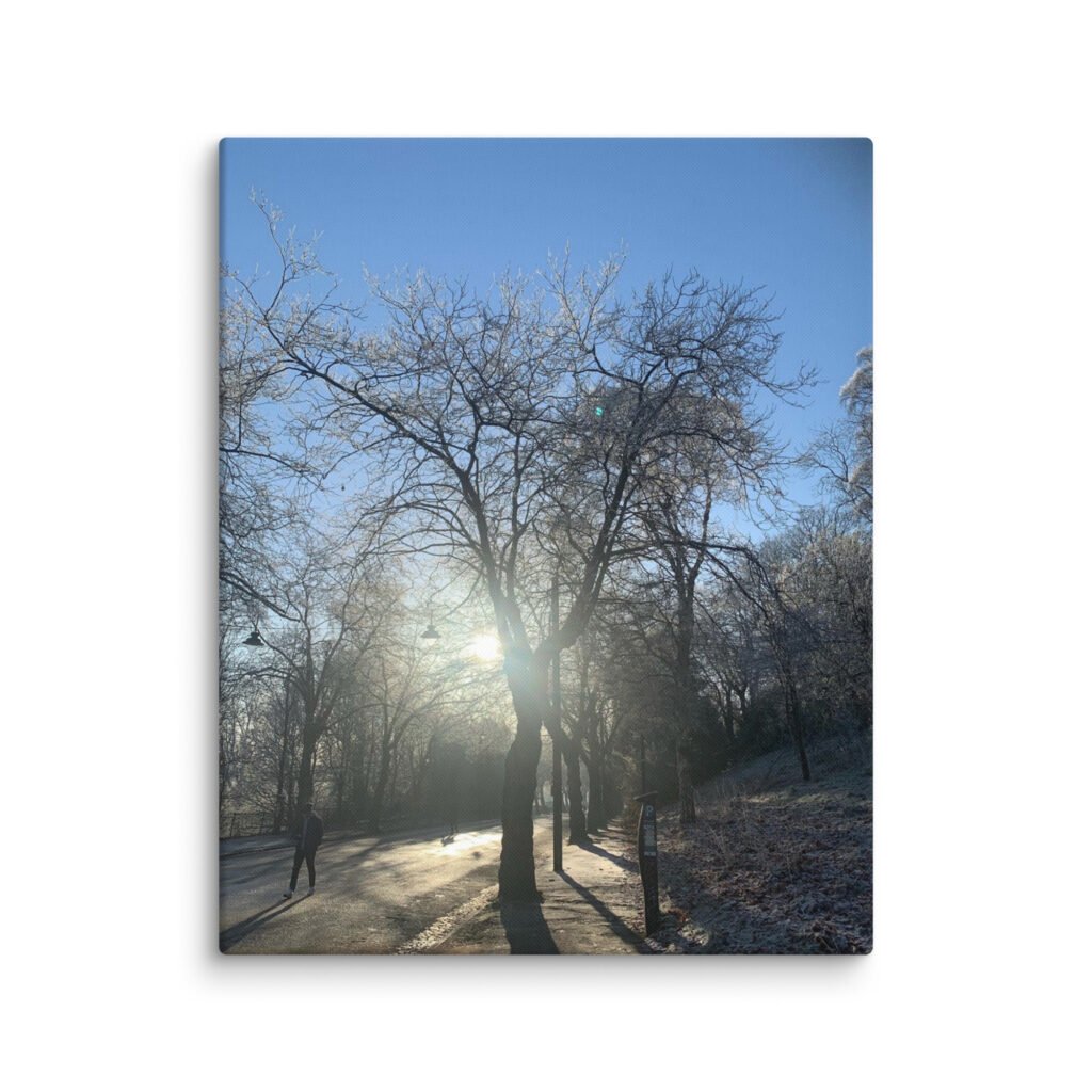 Kelvingrove Park in Winter Canvas