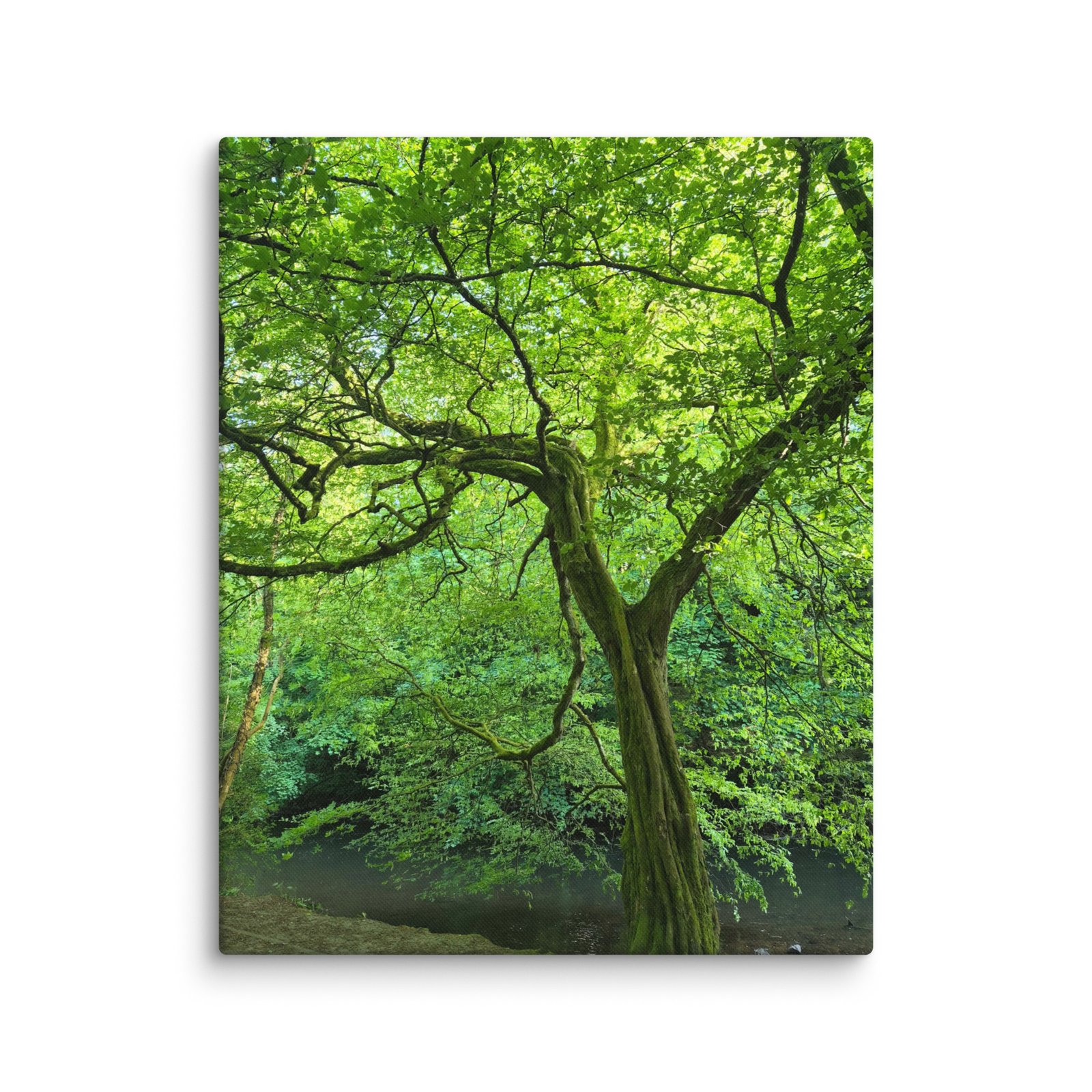 Kelvin Way Tree Canvas - Image 1
