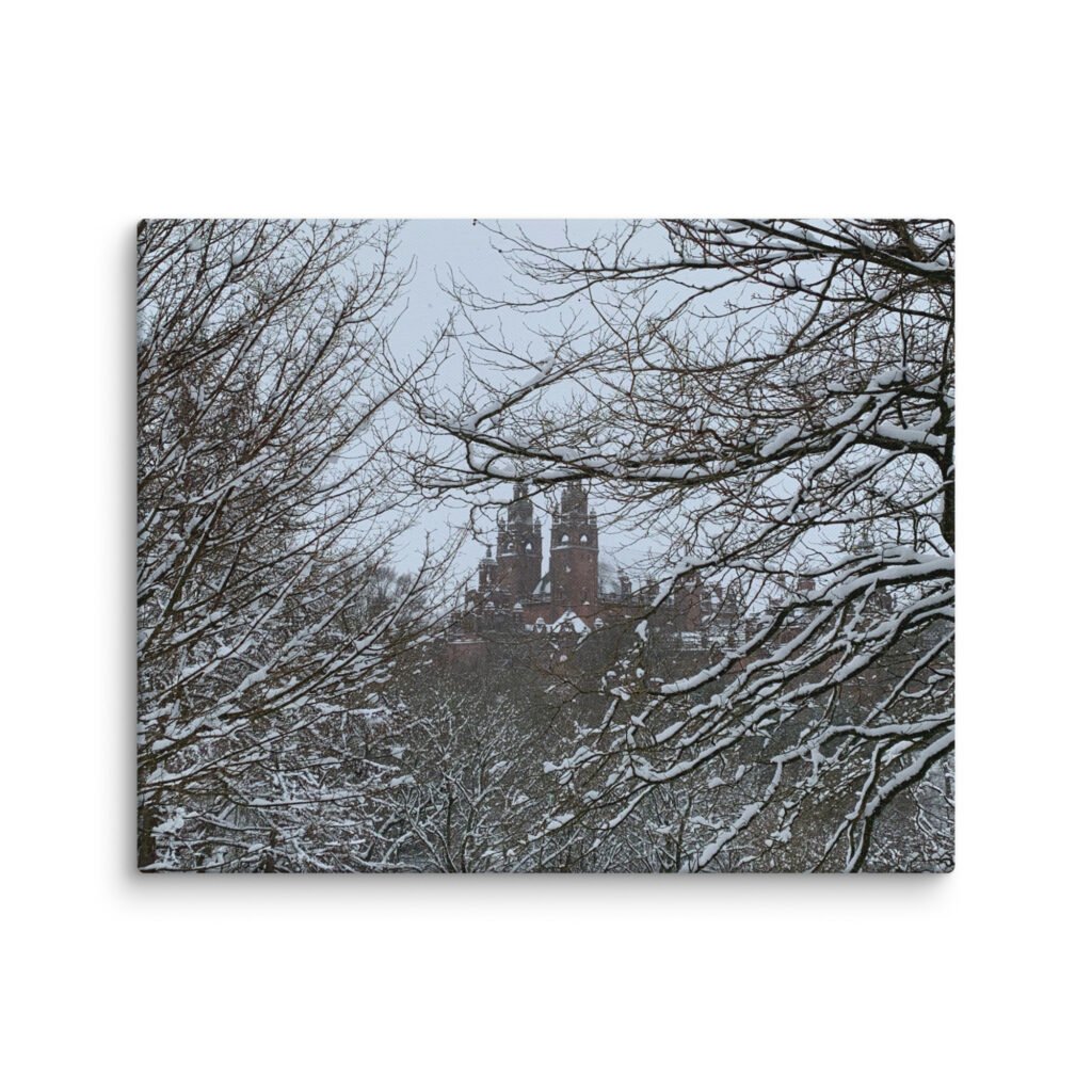 Winter in Kelvingrove Park Canvas