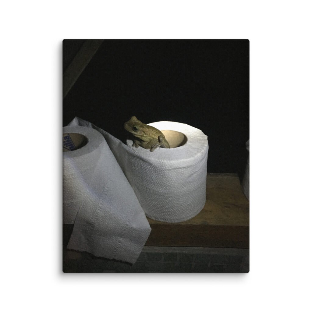 Frog on Toilet roll in Amazon Canvas