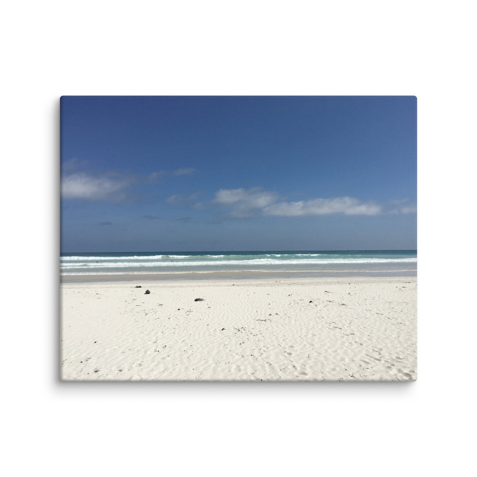 Springtime Galapagos Beach Canvas - Image 1