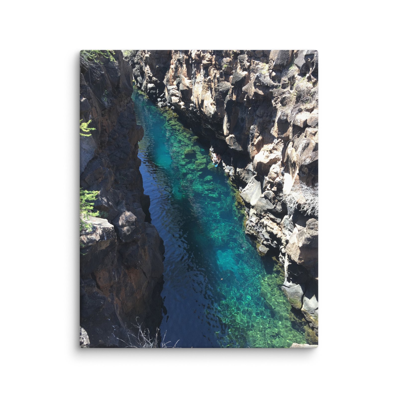 Ocean Inlet Galapagos Canvas - Image 1