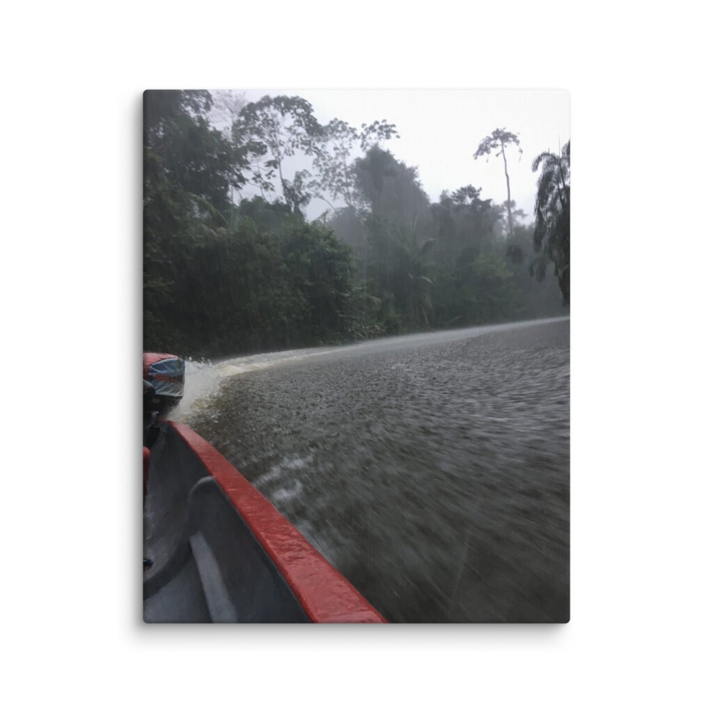 Journey Through Amazonian Rain Canvas