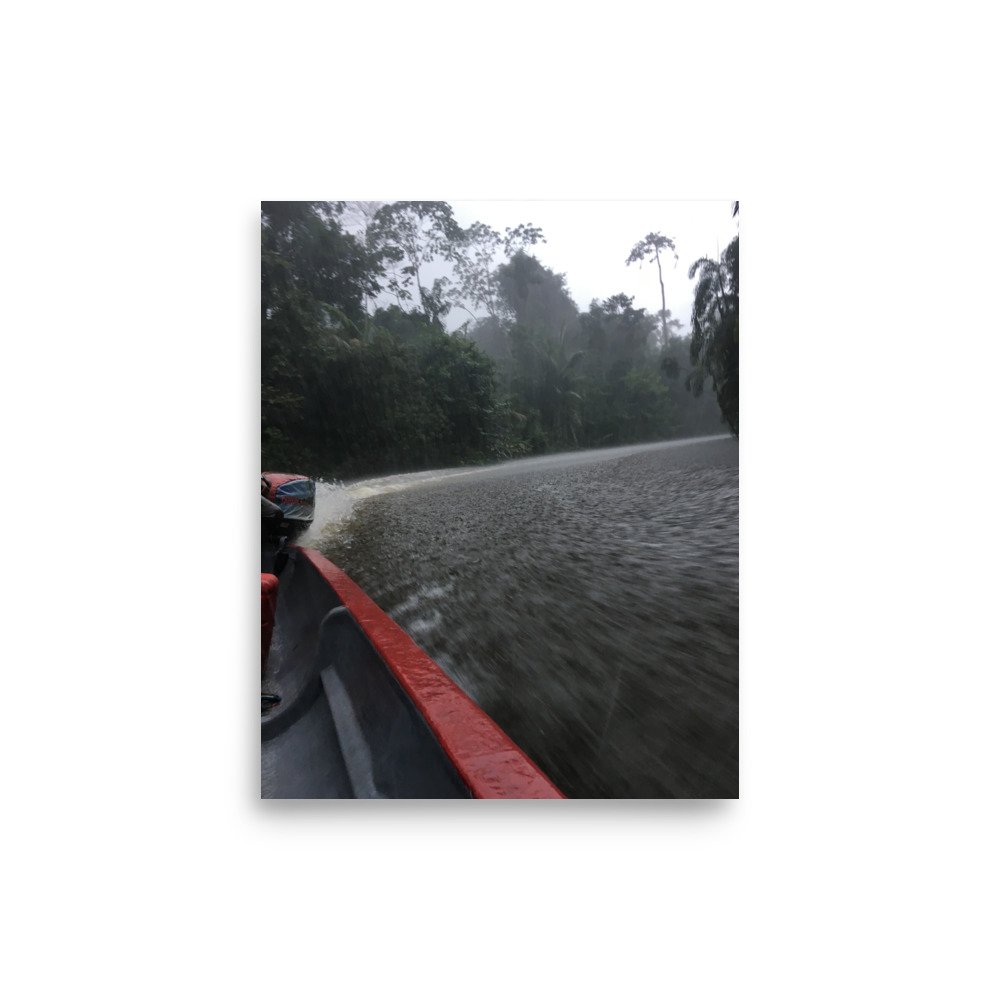Journey Through Amazonian Rain Poster