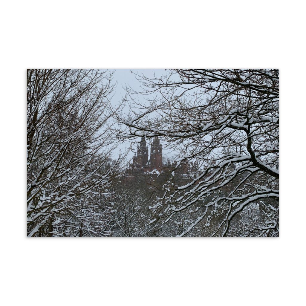 Winter in Kelvingrove Park Postcard